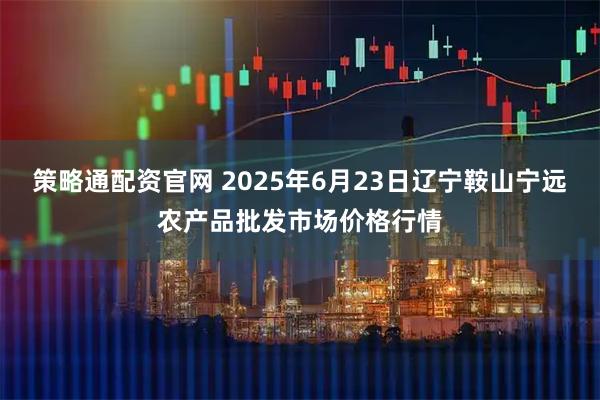 策略通配资官网 2025年6月23日辽宁鞍山宁远农产品批发市场价格行情