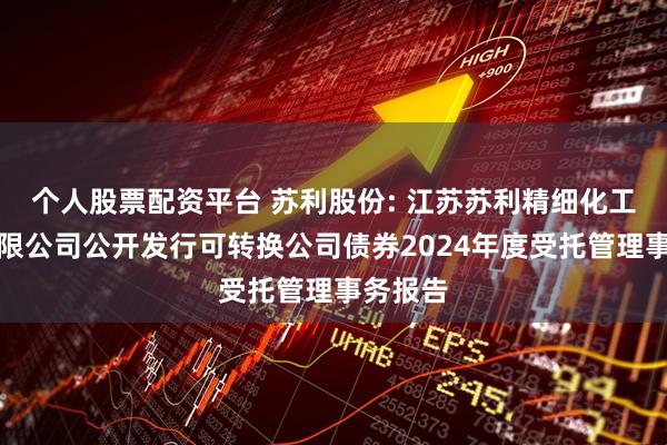 个人股票配资平台 苏利股份: 江苏苏利精细化工股份有限公司公开发行可转换公司债券2024年度受托管理事务报告