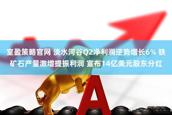 室盈策略官网 淡水河谷Q2净利润逆势增长6% 铁矿石产量激增提振利润 宣布14亿美元股东分红