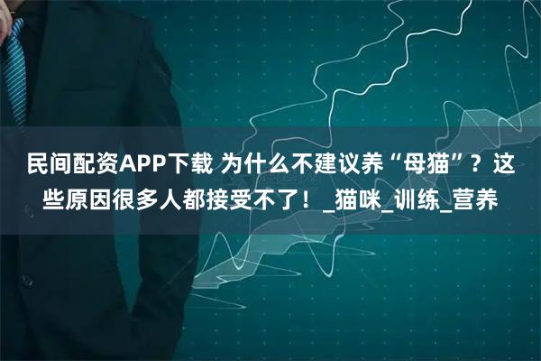 民间配资APP下载 为什么不建议养“母猫”？这些原因很多人都接受不了！_猫咪_训练_营养