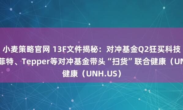 小麦策略官网 13F文件揭秘：对冲基金Q2狂买科技股！巴菲特、Tepper等对冲基金带头“扫货”联合健康（UNH.US）