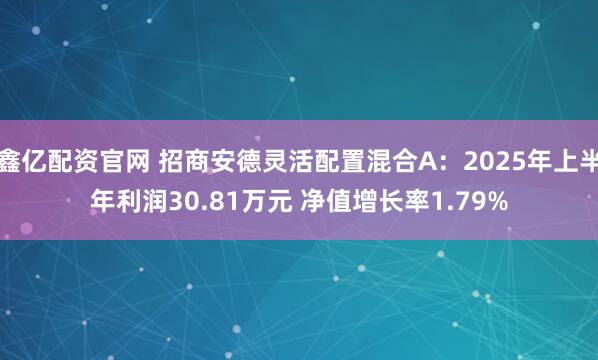 鑫亿配资官网 招商安德灵活配置混合A：2025年上半年利润30.81万元 净值增长率1.79%