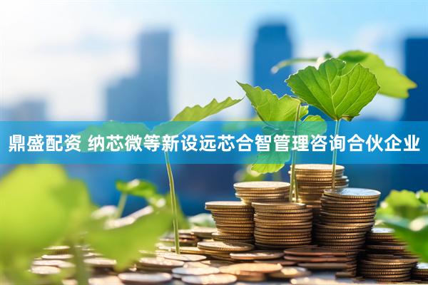 鼎盛配资 纳芯微等新设远芯合智管理咨询合伙企业